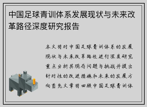 中国足球青训体系发展现状与未来改革路径深度研究报告